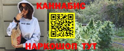 альфа пвп Новодвинск