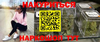 альфа пвп Новодвинск