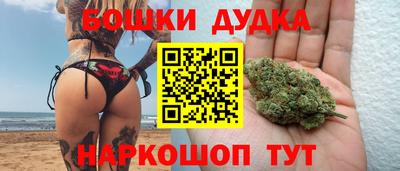альфа пвп Новодвинск