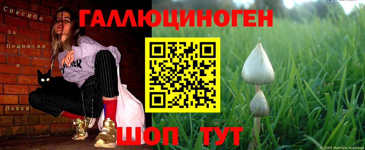Галлюциногенные грибы ЛСД  Вход с VPN  Семилуки 