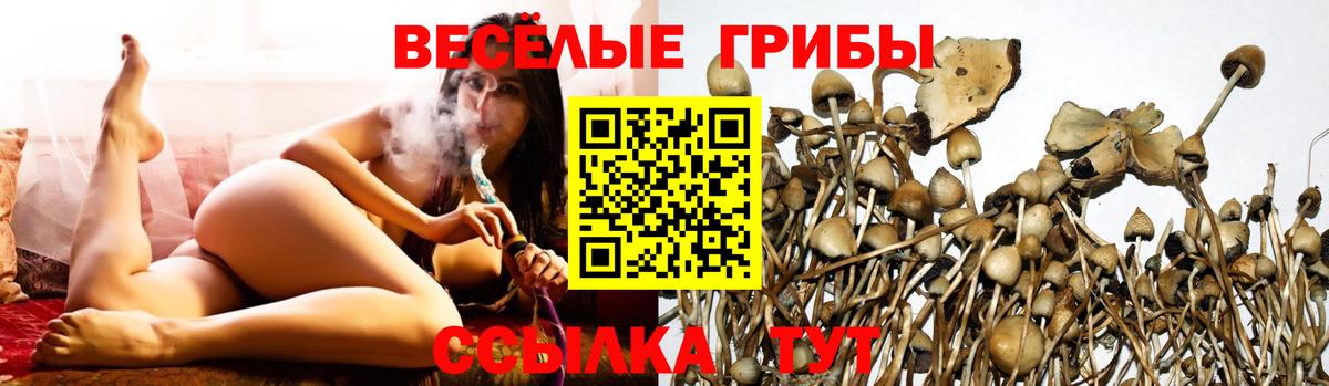 Галлюциногенные грибы MAGIC MUSHROOMS Семилуки